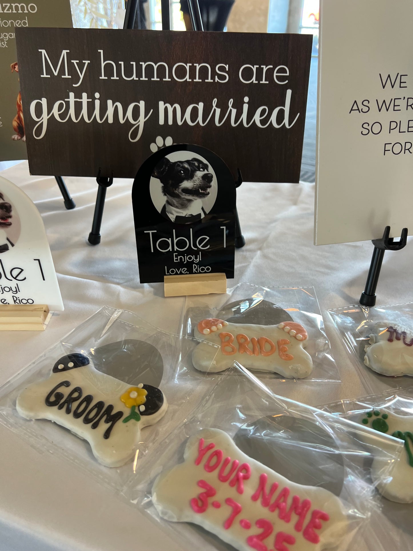 Biscuit Bar